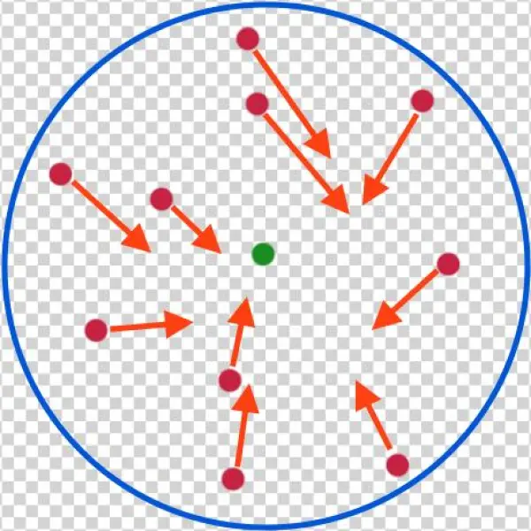 Spawning - Two-dimensional Space