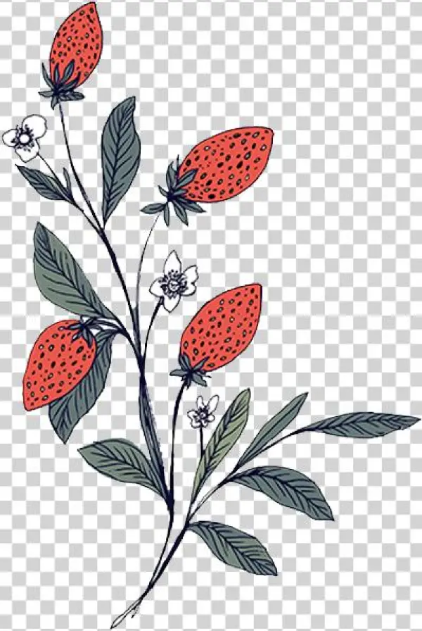 Strawberries No Text - Portable Network Graphics