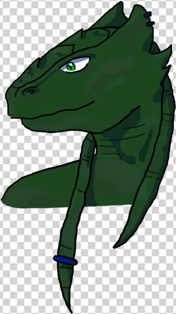 Zaveid The Dragonborn