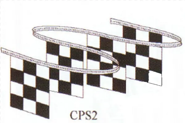 9 In X 12 In Black/white Checkered Rectangular Paneled