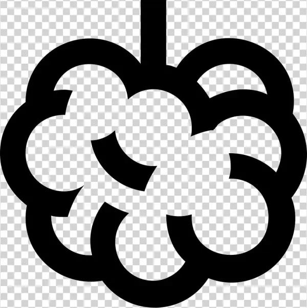 Blackberries Comments - Berry