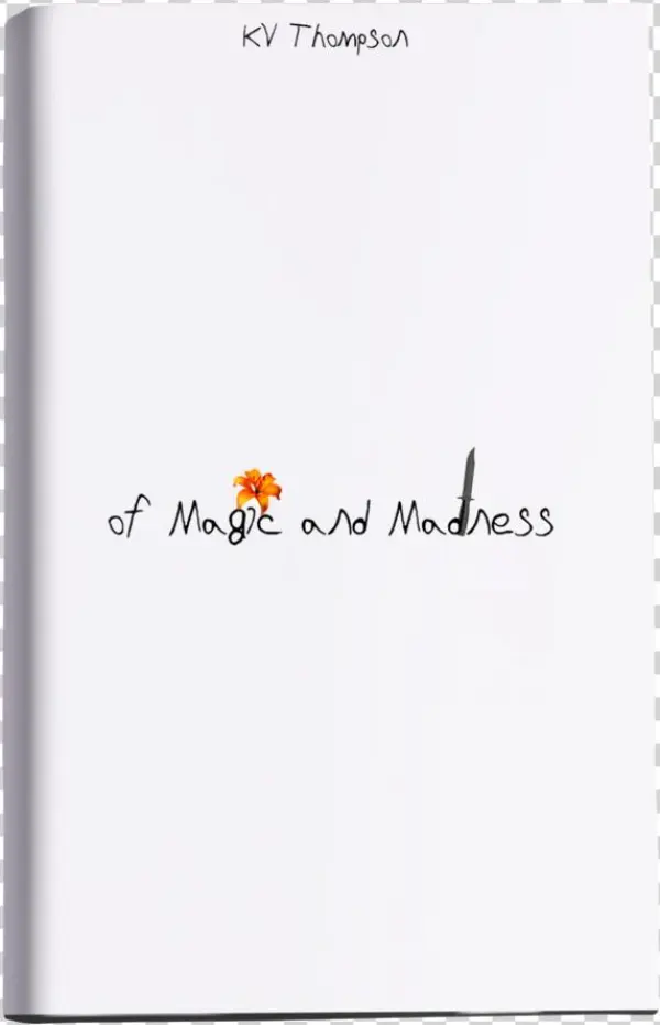 Book-mockup Square - Magic And Madness [book]