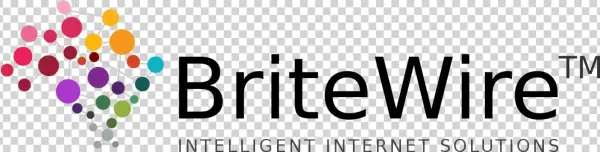 Britewire - Entrena Tu Cerebro : Test De Mensa [book]