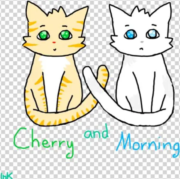 Cherry Morning - Cat Yawns