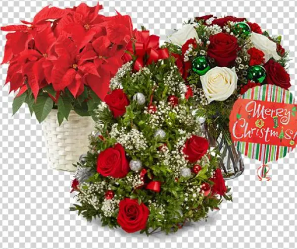 Christmas Gift Orders Accepting - Flowers Delivery - Red Roses & Fresh Greens - Christmas