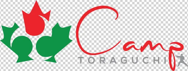 Ct Transparent Background - Vlag Canada