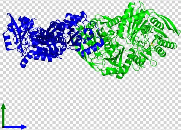 <div Class='caption-body'><ul Class ='image Legend