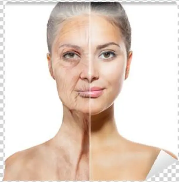 Faces Of Young And Old Women Wall Mural • Pixers® • - Eboot Headband Soft Velvet Band Wig Grip Hold Extra