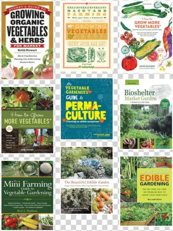 Growing Organic Vegetables And Herbs For Market: Site