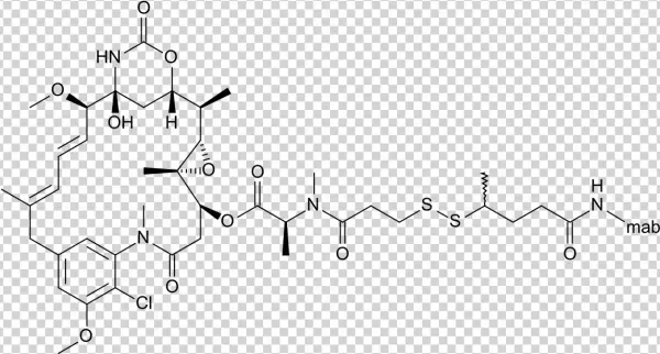 Lorvotuzumab Mertansine