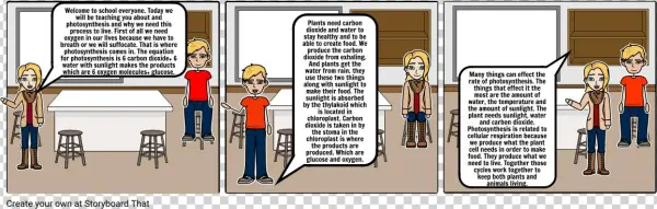 Photosinthesis And Cellular Resperation - Cell