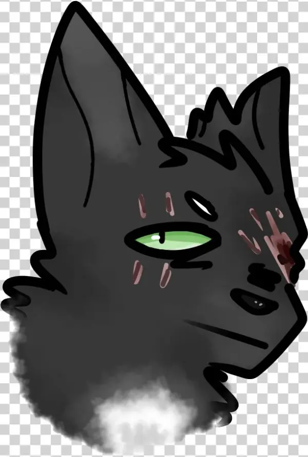 Porch Kid - Cat Yawns