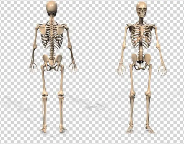 Stacks Image - Plus Fitness