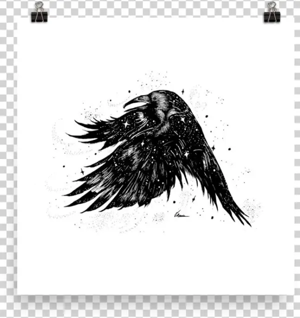 Starry Raven