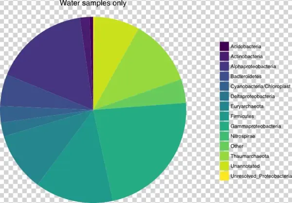 Betadisper And Permutational Anova - Circle
