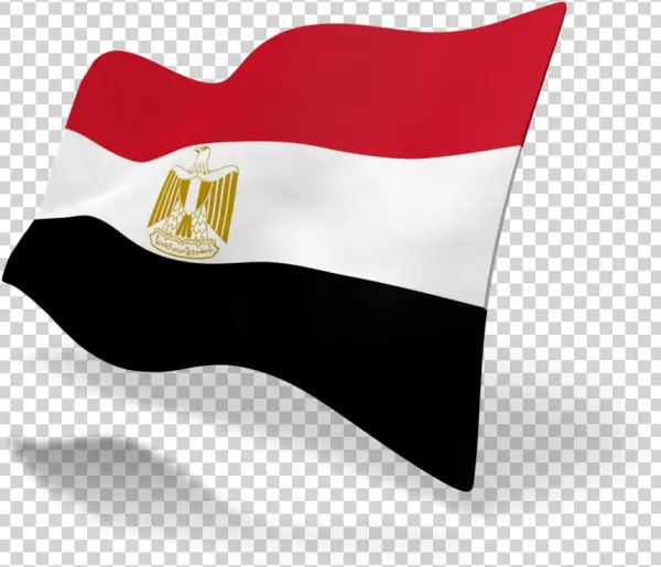 Calling All Bsos Students Looking For A Paid Research - 3drose Flag Of Egypt - Egyptian Red White Black With