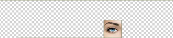 Eyelash Training - Connecticut