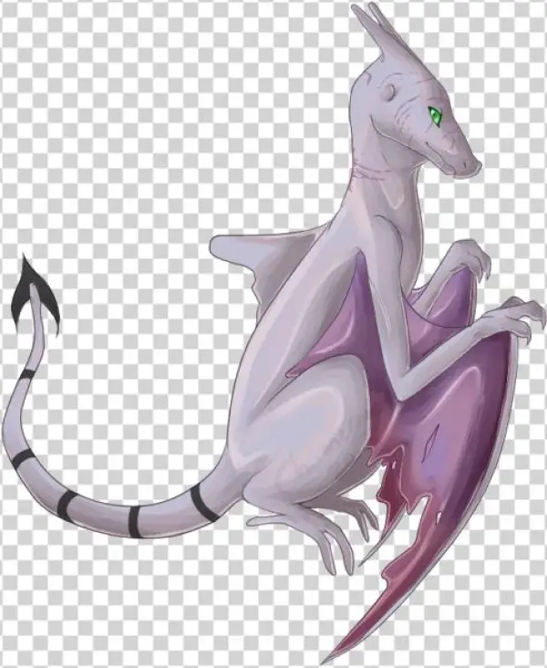 - - Name - - Acht Means 'eight' In German - Illustration