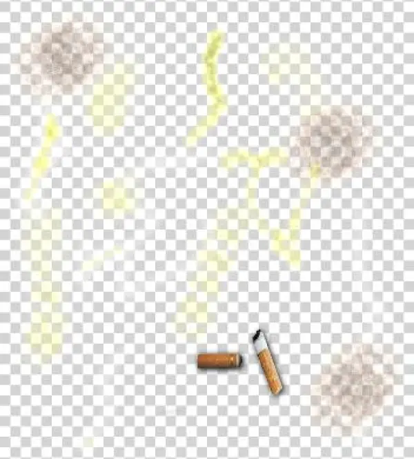 Pee And Cigarette Butts - Dandelion