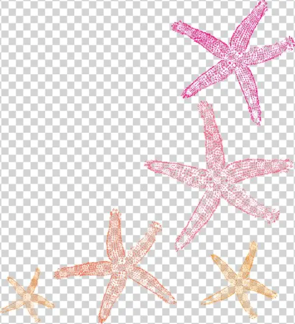 Private Listing For Pam 2 Pair Custom Angela Style