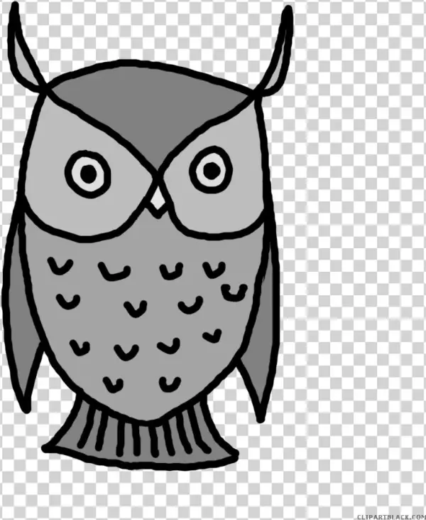 Snowy Owl Clipart Transparent - Clip Art