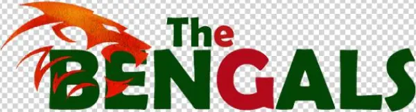 The Bengals Group - Pro Kabaddi