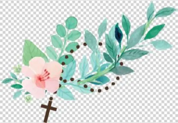 The Catholic Cemeteries - Natural Mama's Guide To Eczema: Proven Natural Remedies