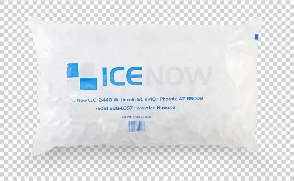 10 Lb - Bags - Handbag