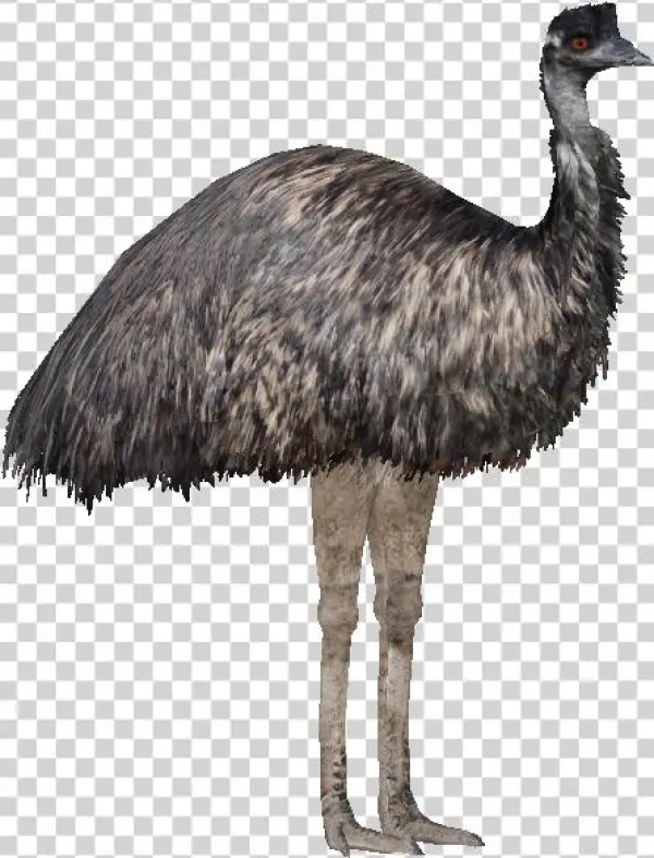 51, January 27, 2015 - Thumbnail