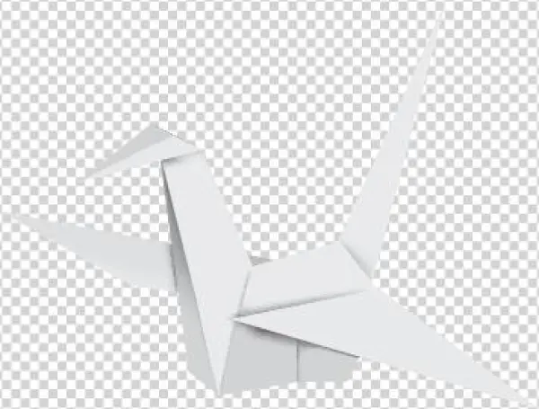 Advanced Search - Origami