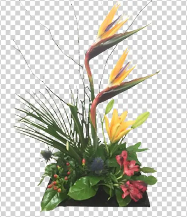 Birds In Paradise - Bouquet