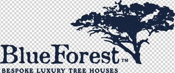 Blue Forest