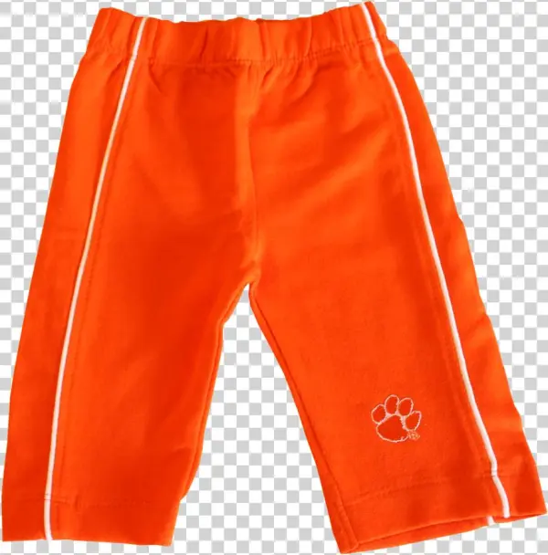 Clemson Side Stripe Pants With Pocket Orange Or Purple
