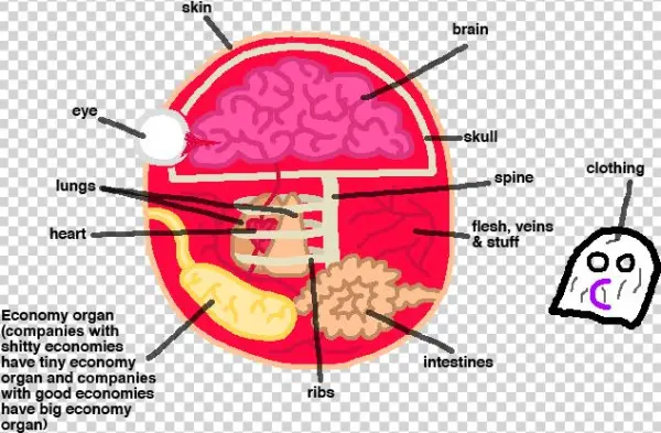 Companyball Anatomy - Creative Economy