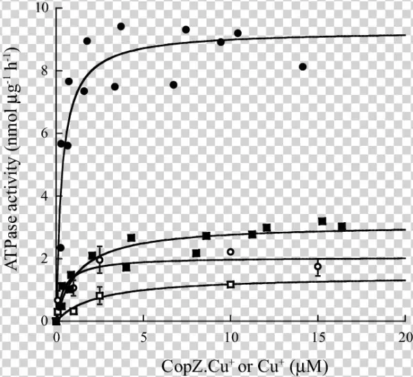 Copzcu Activation Of N,c-copa And C 27,30,751,754 A - Copper