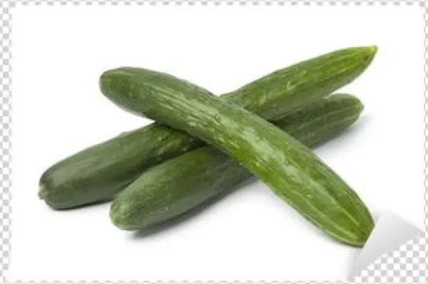 Cucumber