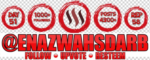 Day 51 1000 Followers - Portable Network Graphics