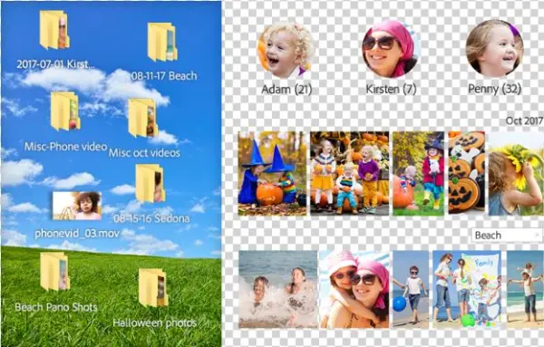 Effortless Organization - Adobe Photoshop Elements