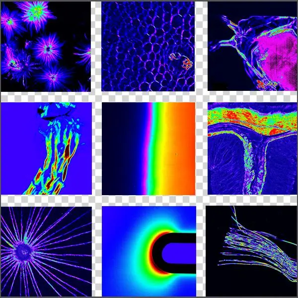 Exicor® Microimagertm - Hinds Instruments, Inc.