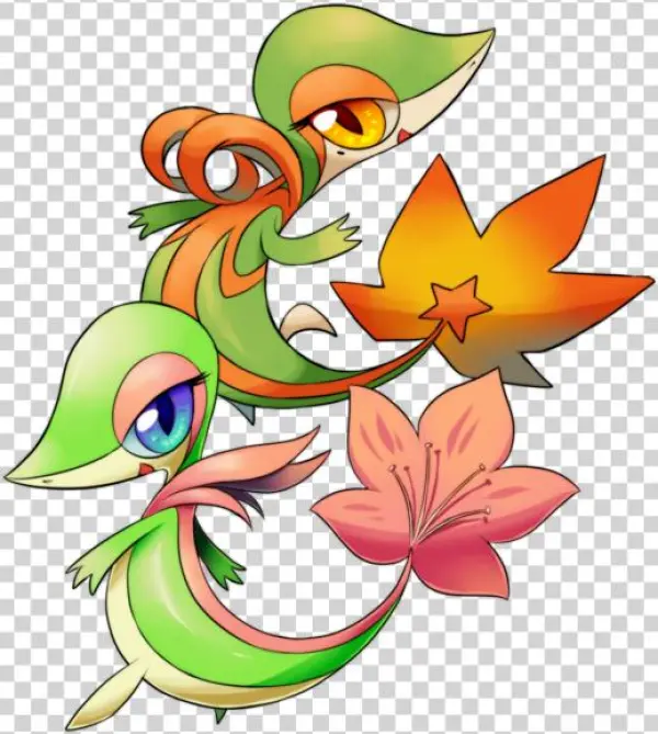 Height=510]http - //i - Imgur - Com/ls5fbkk [/img] - Pokémon