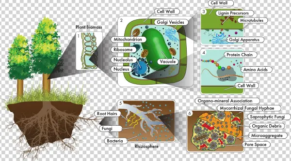 Other New Approaches Suggested Will Provide As Yet - Ecosystem To Molecules Interactions Are Important