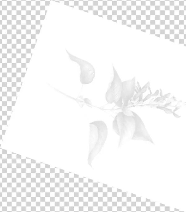 Push10 Enliven Push10 Enliven Modernize - Illustration