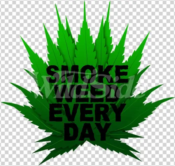 Smoke Weed Every Day Marijuana Lovers Pot Leaf 420
