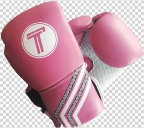 Title Punisher Training Gloves Pink 12oz - Glove