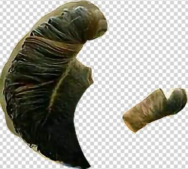 Tyga Sticker - Silver Spotted Skipper