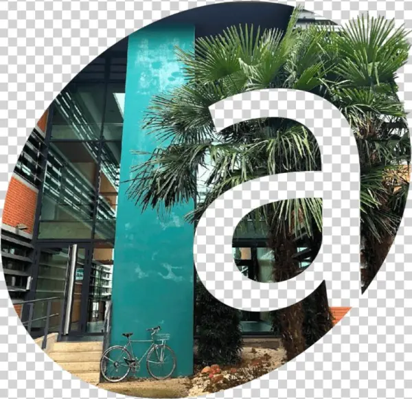 Voice First Interfaces Are Reinventing The Way We Engage - Roystonea