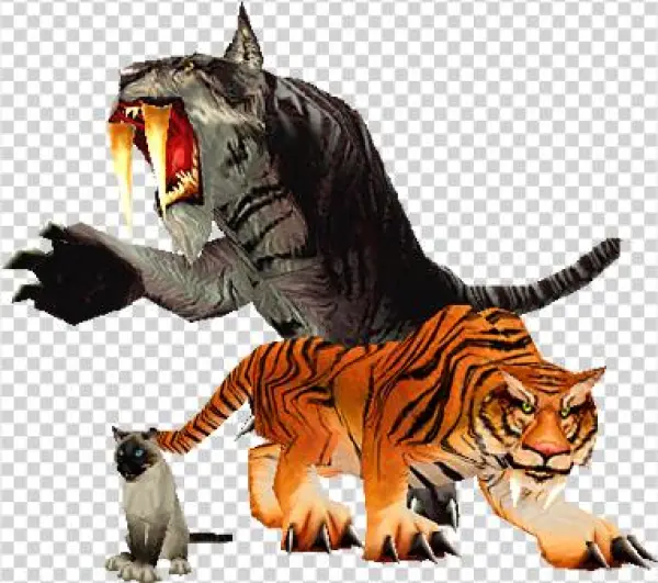World Of Warcraft Feline