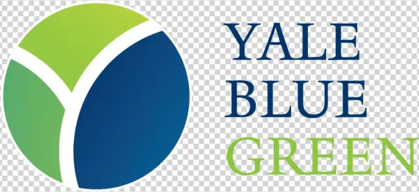 Yale Blue Green Is The Home For Yale Alumni Interested - Byzantine Rome And The Greek Popes: Eastern Influences