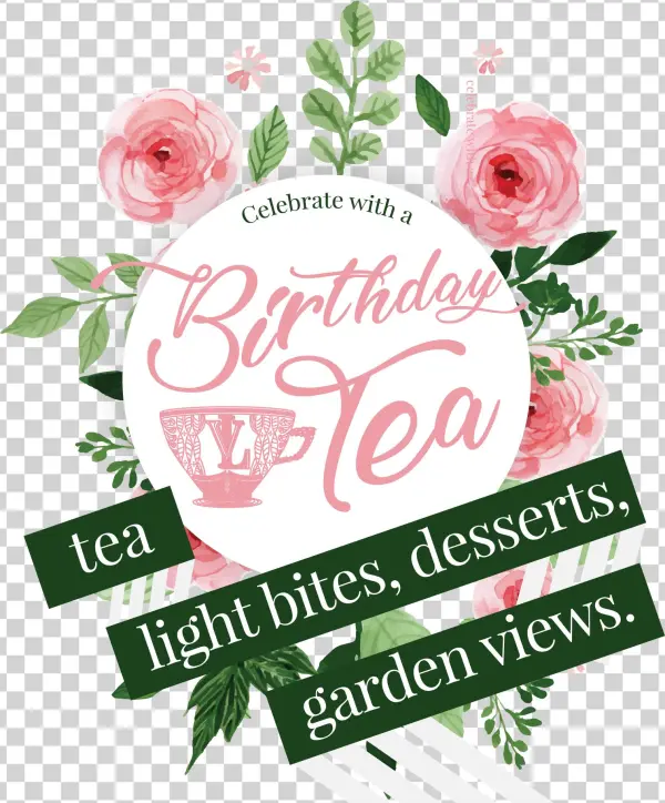 A Birthday They'll Remember - Skin Decal Wrap For Mophie Juice Pack Plus Iphone 5/5s/se