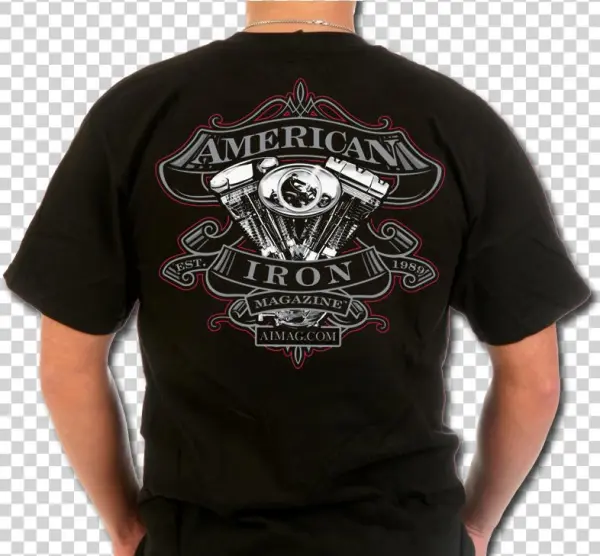 Aim Pinstripe T-shirt - Harley